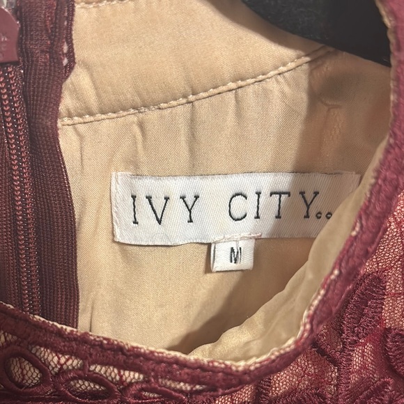 Ivy City Co Sicily Dress in Burgundy - Picture 6 of 7